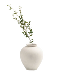 White Terracotta Vase